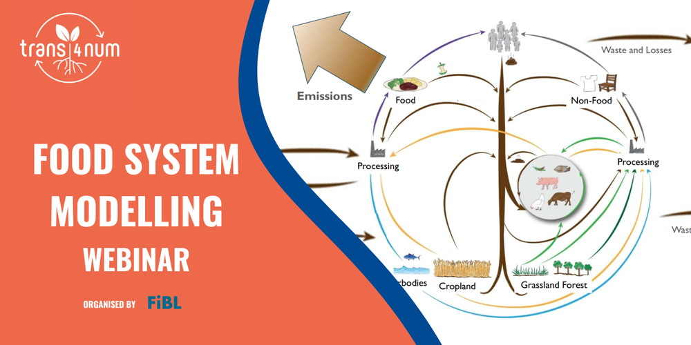 Webinar: Introduction to Food system modelling