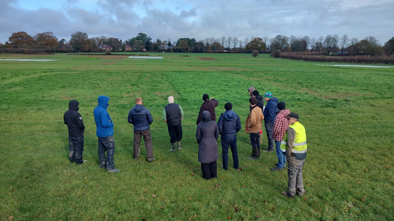 IMG_20251119_115721166_HDR