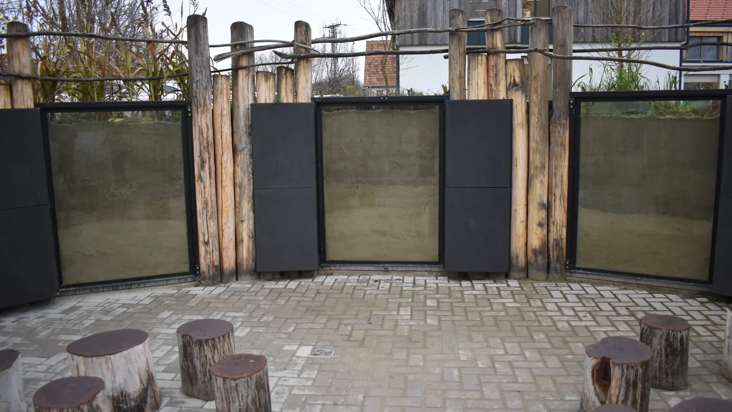 WhatsApp Image 2025-11-13 at 18.50.26_2bd263c2