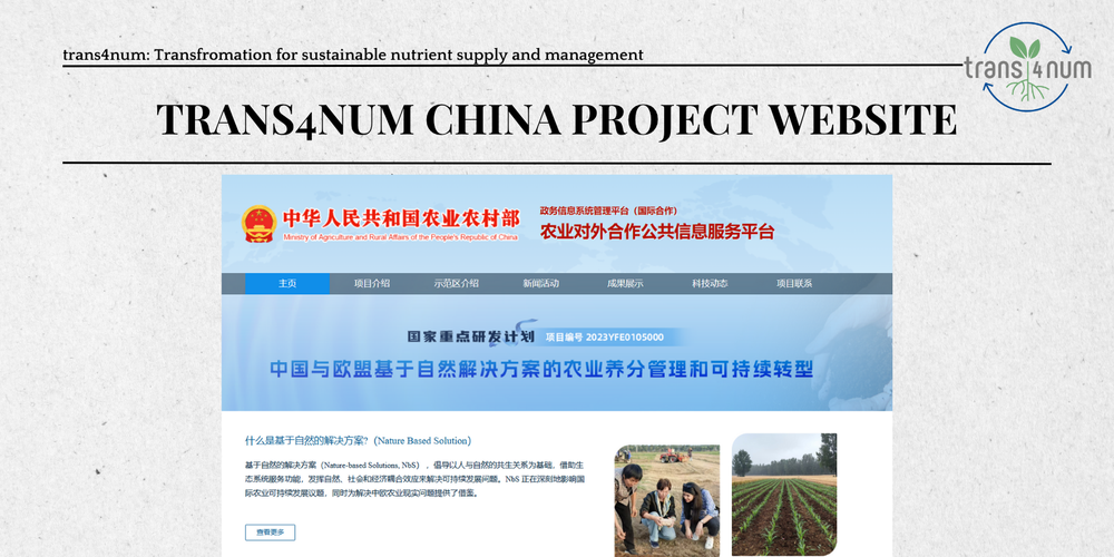 trans4num China website