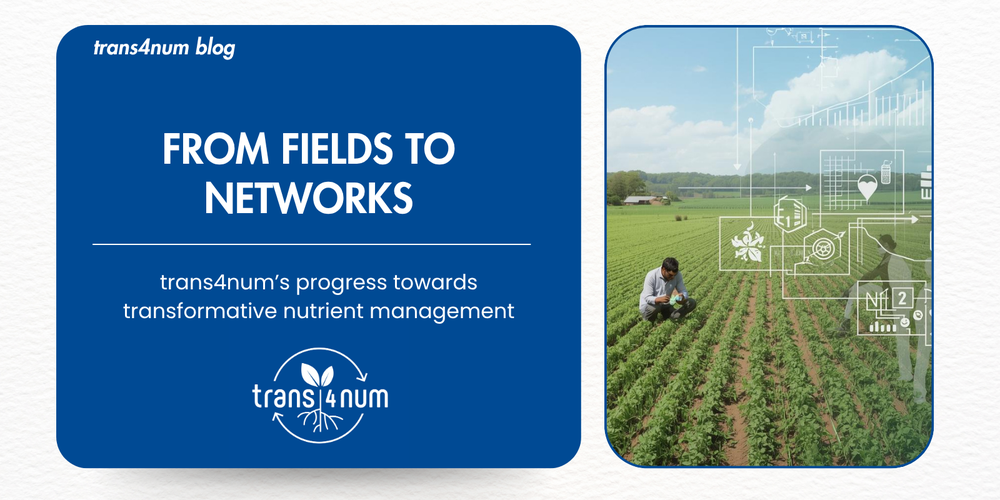 From Fields to Networks: trans4num’s progress towards transformative nutrient management