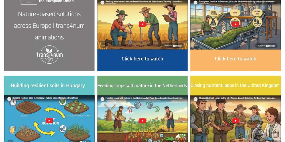 Nature-based solutions across Europe