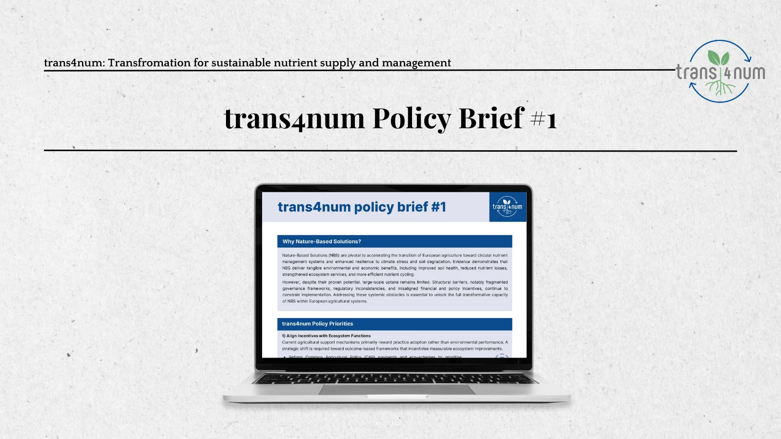 trans4num - cover photos for the news