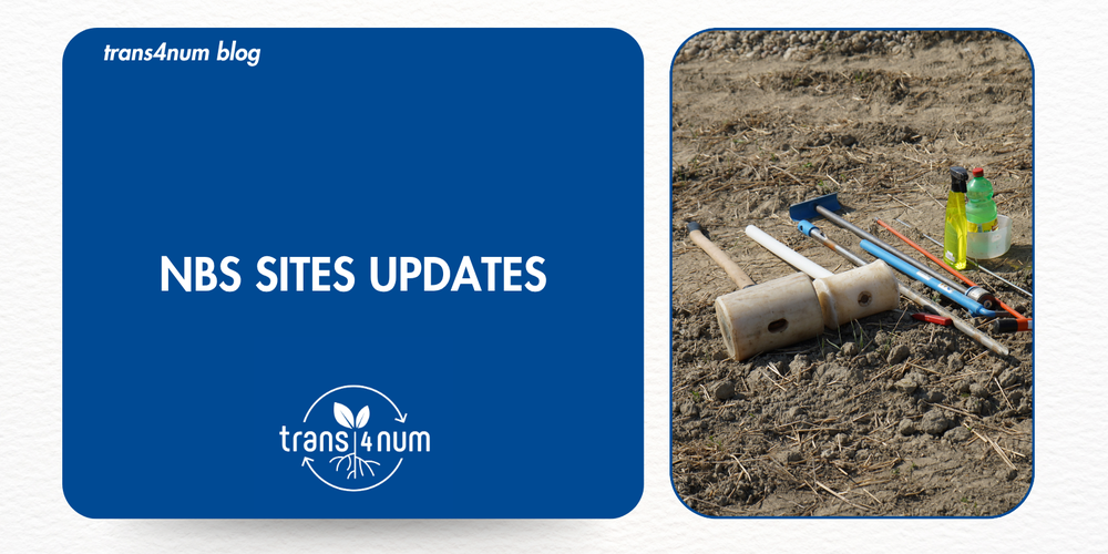trans4num NBS sites updates