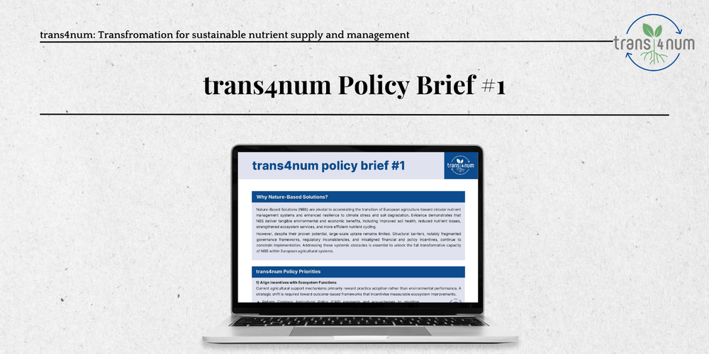 trans4num Policy Brief