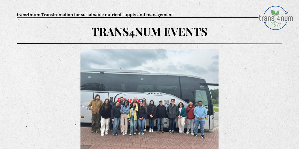 trans4num & AMAIZE-P excursion