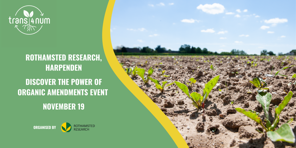 Discover the Power of Organic Amendments