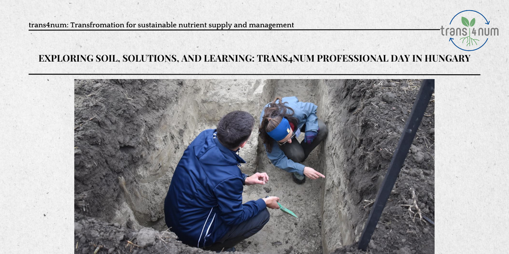 Exploring soil, solutions, and learning: trans4num professional day in Hungary